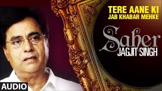 Poster तेरे आने की जब ख़बर महके | tere aane ki jab khabar mahke || jagjit singh gazals ||