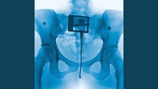 Poster  Shapeshifter Lyrics – Lorde | from Virgin 