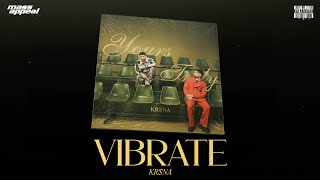 Poster  Vibrate Lyrics – KR$NA X Badshah 