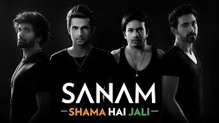 Poster shama hai jali lyrics – sanam (independence day special)
