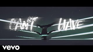 Poster can’t have lyrics – pitbull