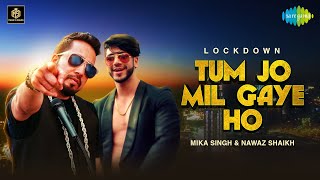 Poster तुम जो मिल गए हो tum jo mil gaye ho hindi lyrics – mika singh