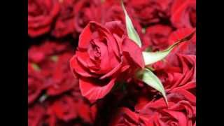 Poster jiya o jiya lyrics – mohammed rafi