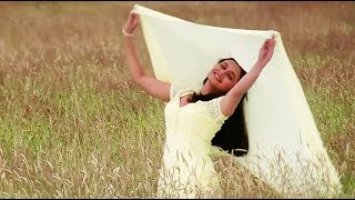 Poster ishq chunariya