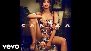 Poster into it lyrics – camila cabello