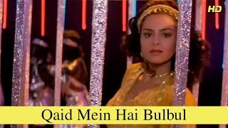 Poster qaid mein bulbul