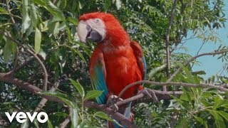 Poster cash out lyrics – – calvin harris