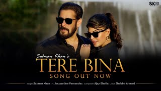 Poster तेरे बिना tere bina – salman khan, jacqueline fernandez